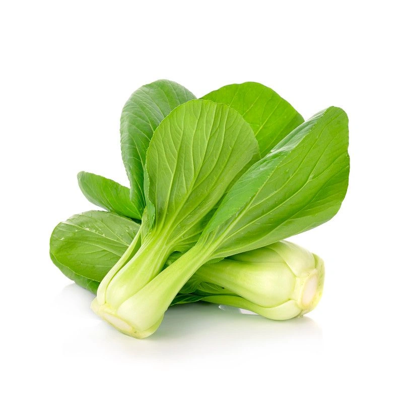 pak-choi_image