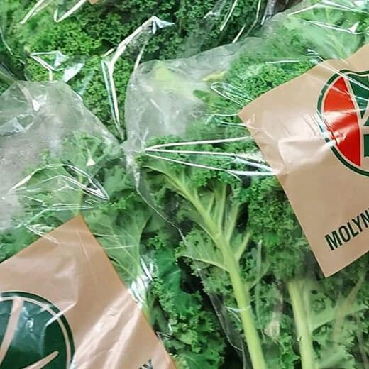 kale_image
