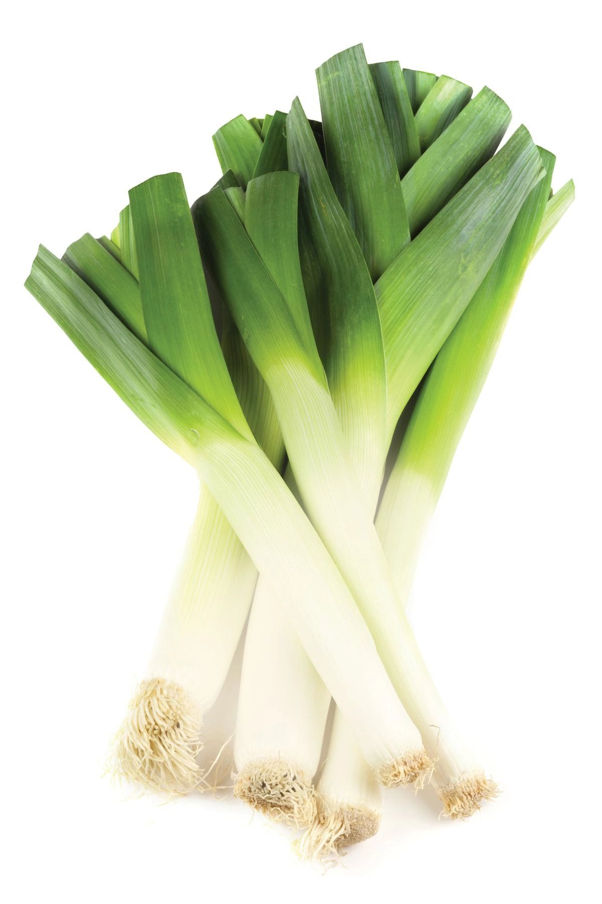 uk-leeks_image