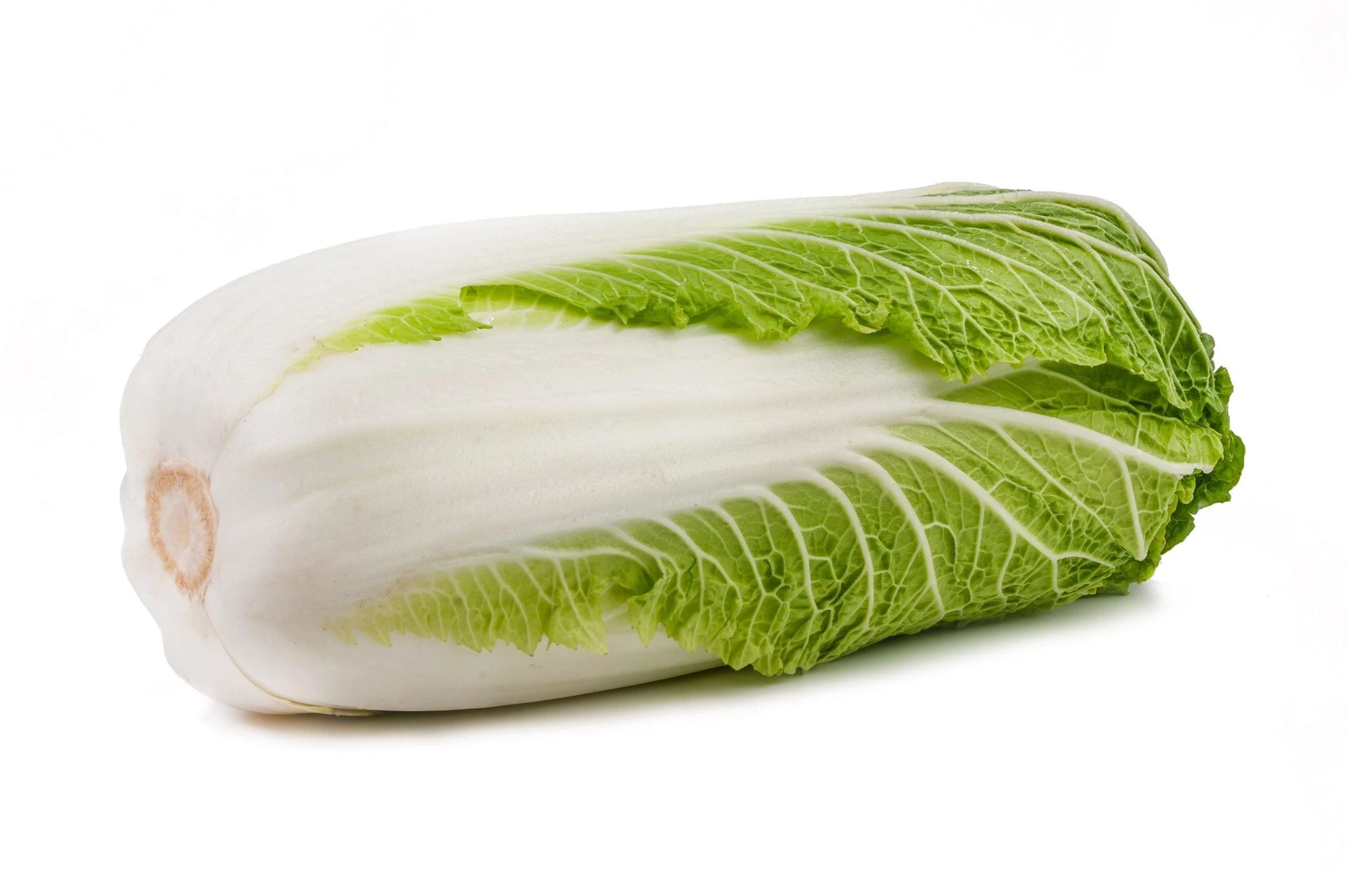 chinese-leaf_image