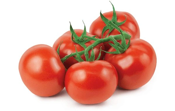 vine-tomato_image