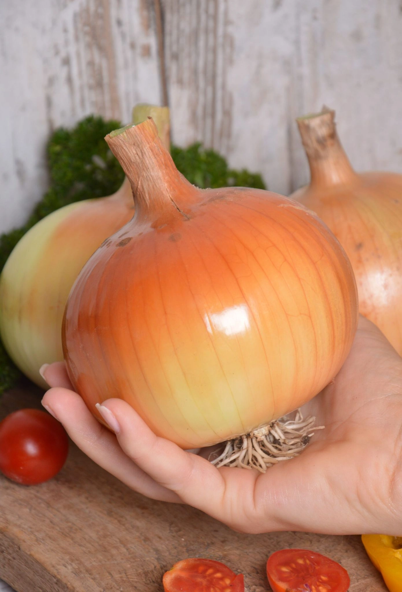 brown-onion_image
