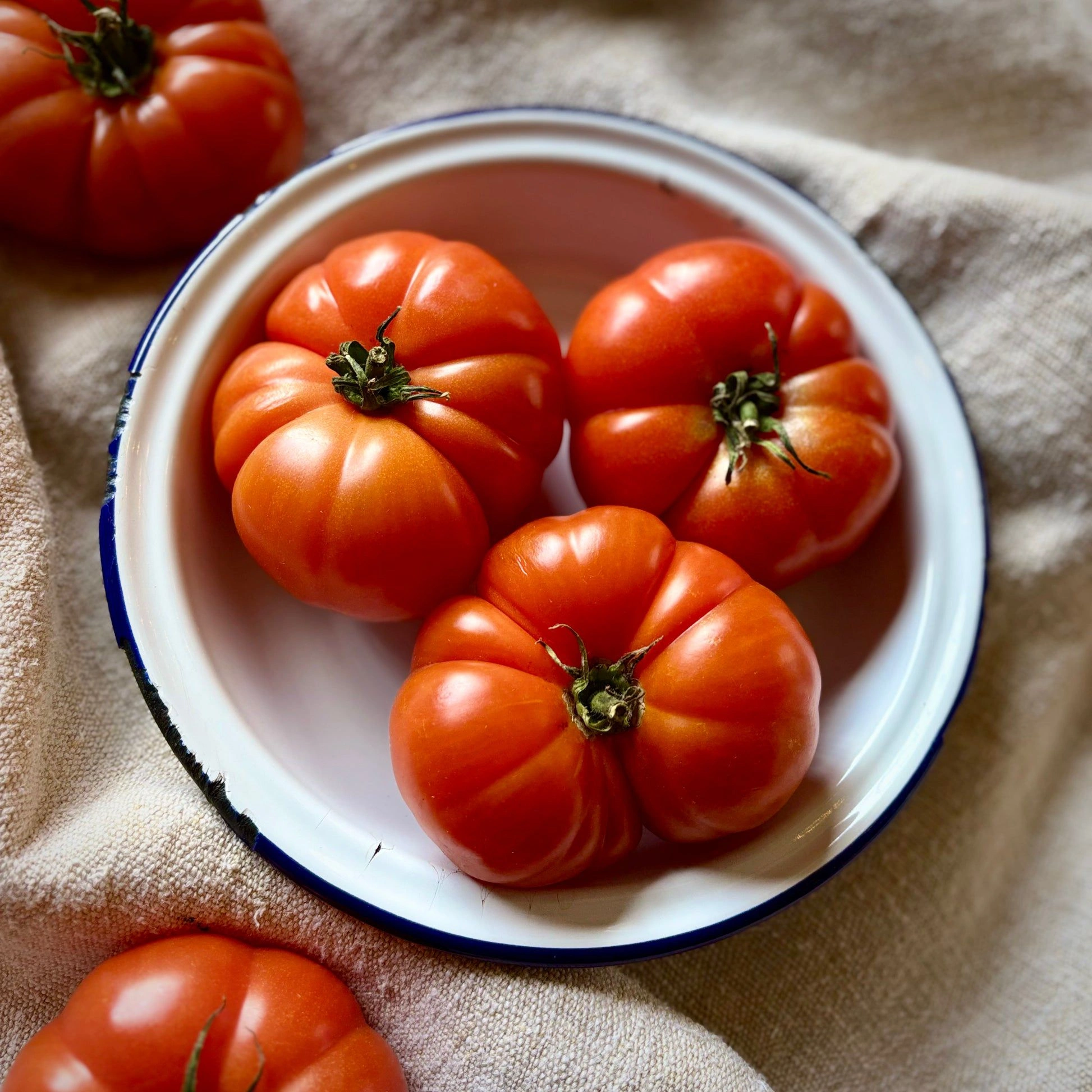 beef-tomato_image