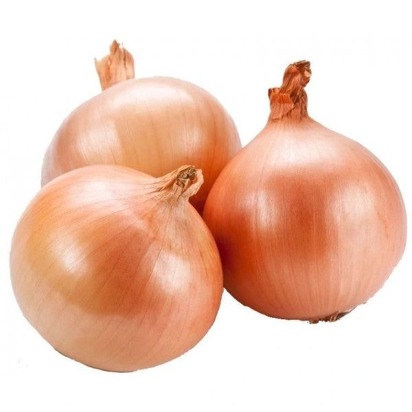 spanish-onion_image