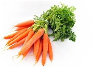 organic-carrot_image