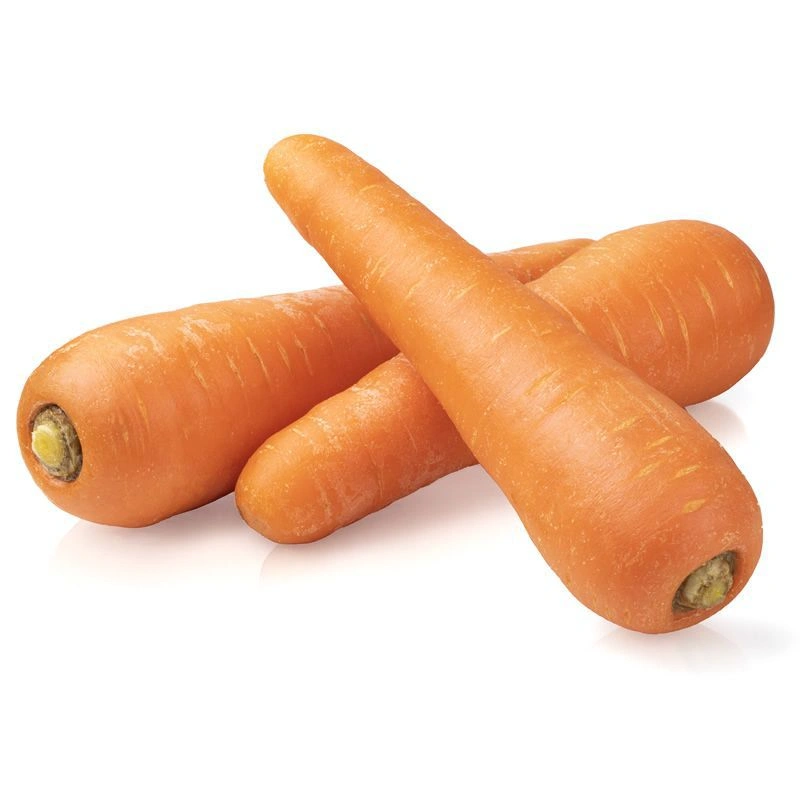 english-carrot_image