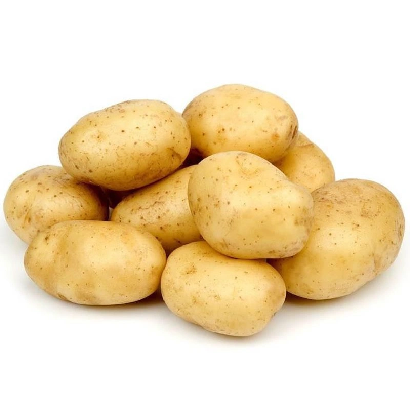 maris-piper_image
