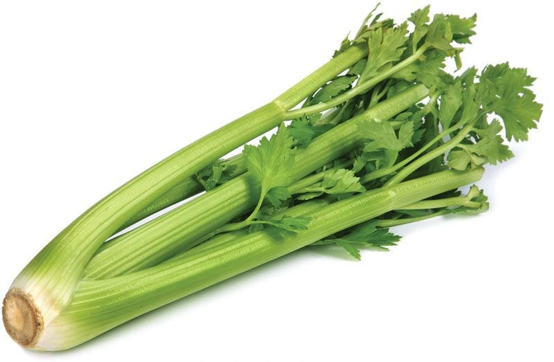 celery_image