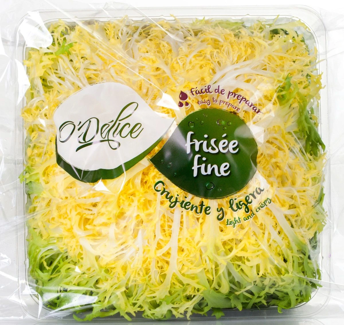 frise-salad_image