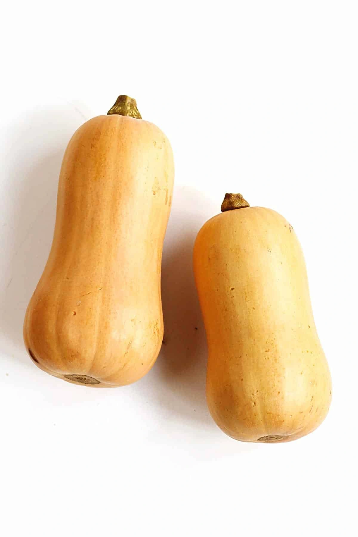 butternut-squash_image