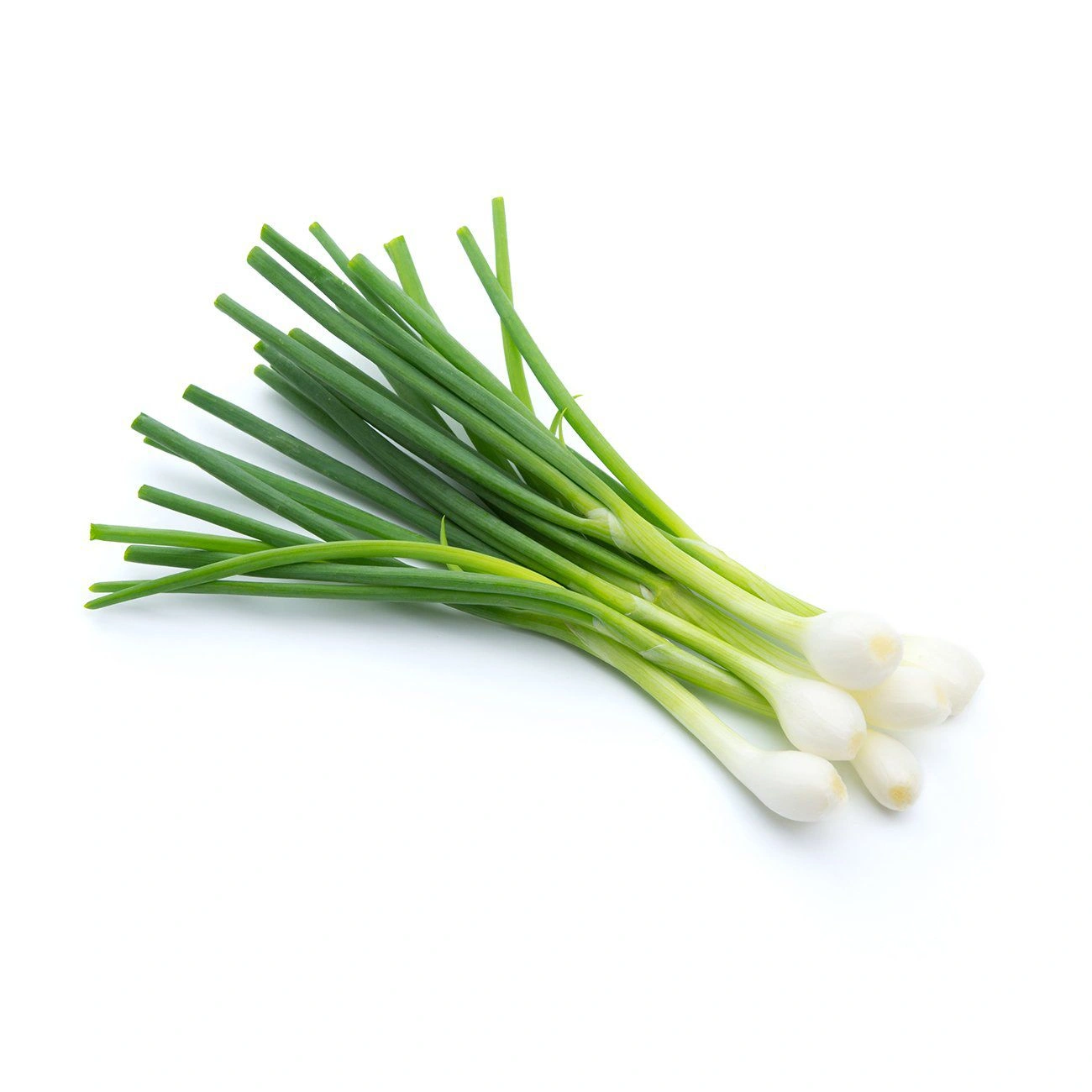 spring-onion_image