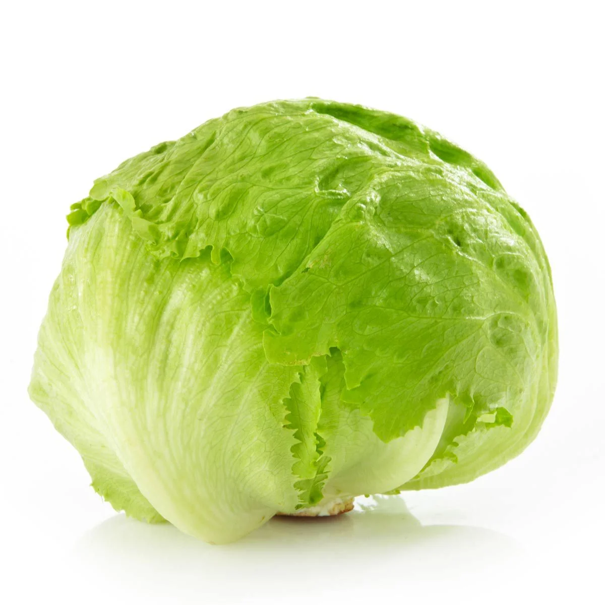 iceberg-lettuce_image