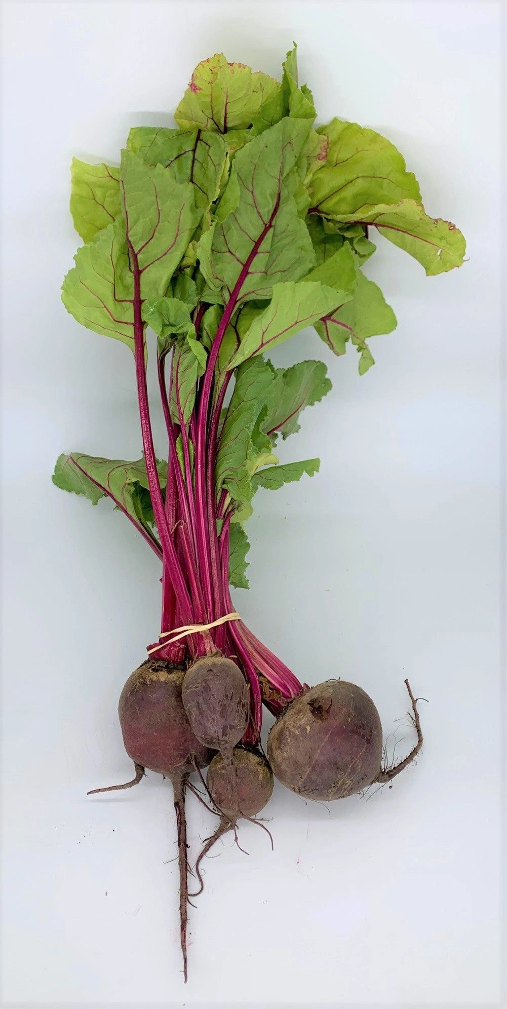 organic-beetroot_image